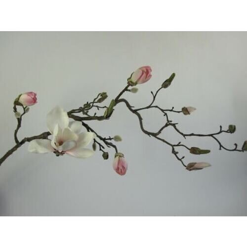 Plastique branche de magnolia Tosca 