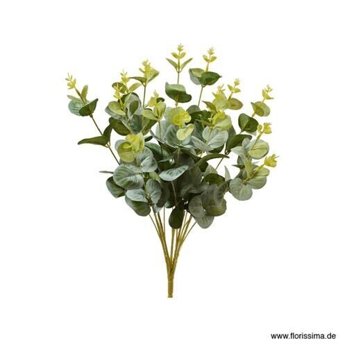 Plastique Buisson d'eucalyptus Mona 