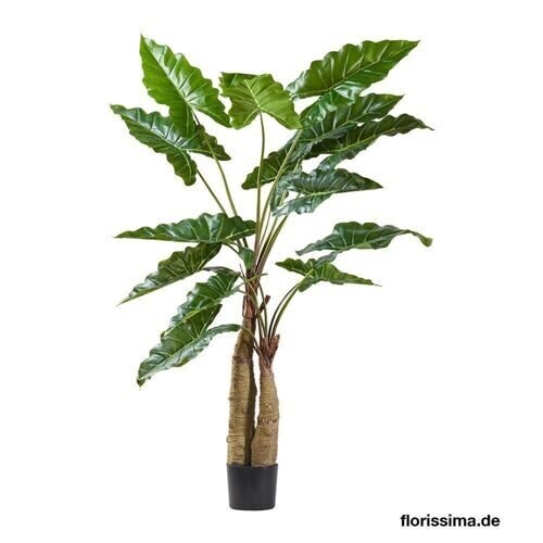 Plastique Plante Alocasia Peter 