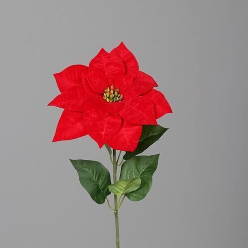 Plastique Poinsettia Ruby 