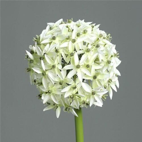 Kunststoff Allium Jerry 