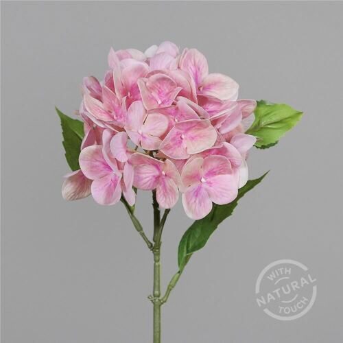 Plastique Hortensia Natural Touch 