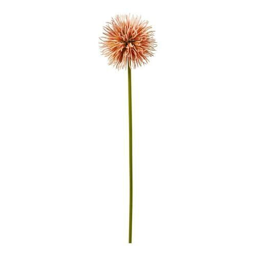 Plastic allium pompom 