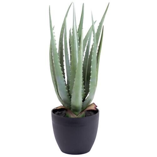 Kunststoff Aloe 