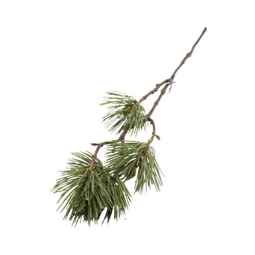 Plastic branch pine (6 pieces)