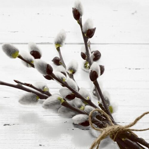 Easter napkin willow catkin (20 pieces)