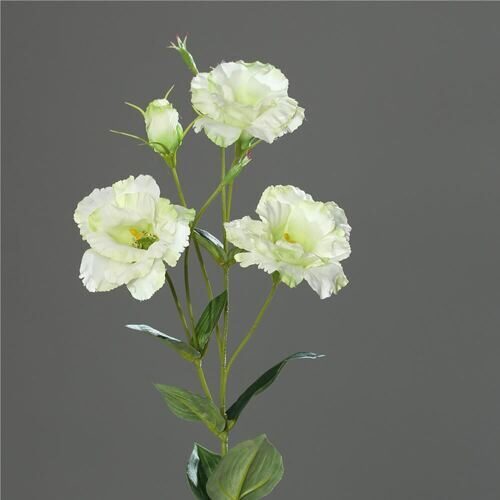 Kunststoff Lysianthus Claire 