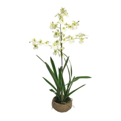 Seide Orchidee Malibu 