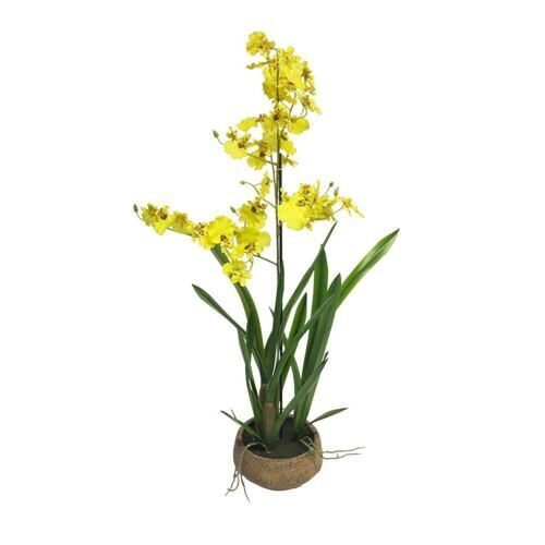 Seide Orchidee Malibu 