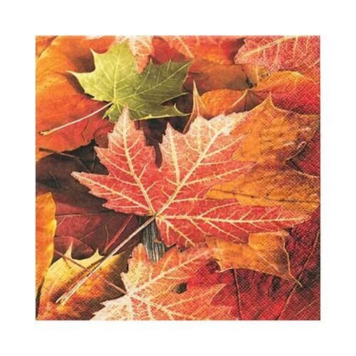 Serviette de table Feuilles d'automne multicolores (20 pièces)