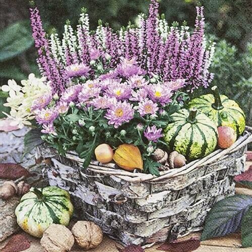 Serviette de table Plantes d'automne dans un panier (20 pièces)