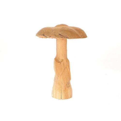 Holz Pilz Teakholz 