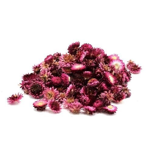 Tête d'Helichrysum fleur séchée/holl. (100 grammes)