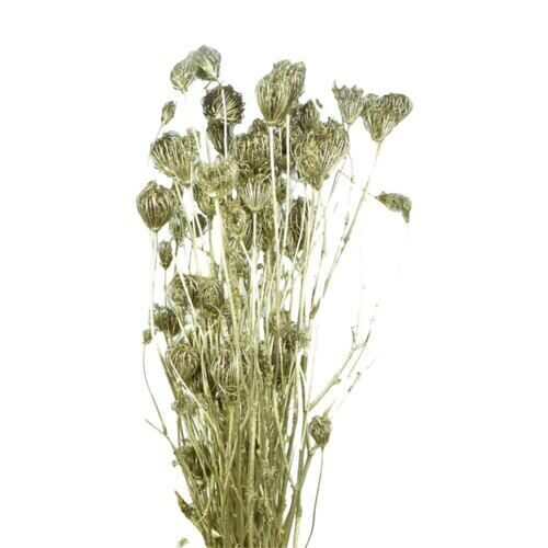 Fenchel Wild (200 Gramm)