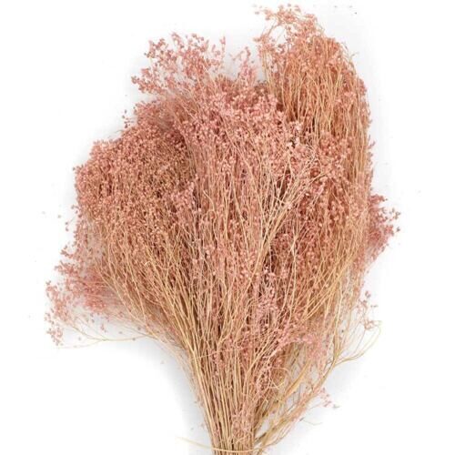 Broom Bloom (300 grammes)