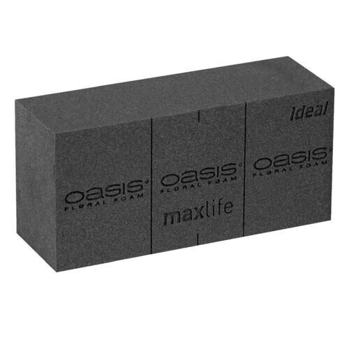 Oasis Ideal Black (20 pièces)