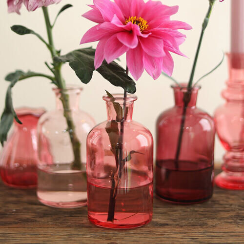 Vase en verre Bouteille de gin (12 pièces)