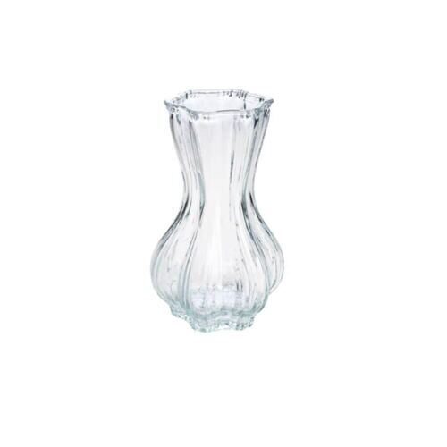 Glas Vase S/Tulipa (12 Stück)