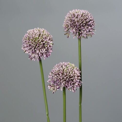 Kunststoff Allium Judi (3 Stück)